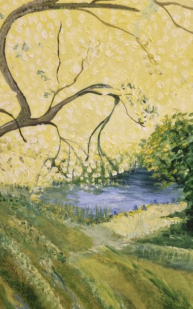 Origineel Schilderij 'De Oude Boom bij de Ven' (50x50 cm) – Aukje Hut