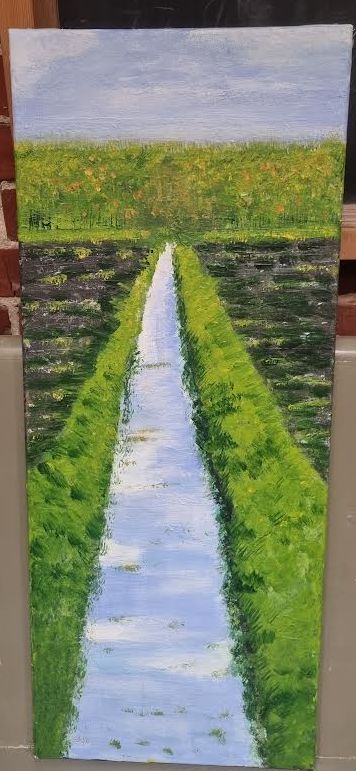 Origineel Schilderij 'Sloot in het Groninger Landschap' (27x70 cm) – Aukje Hut