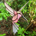 Raamhanger Kolibri vogel