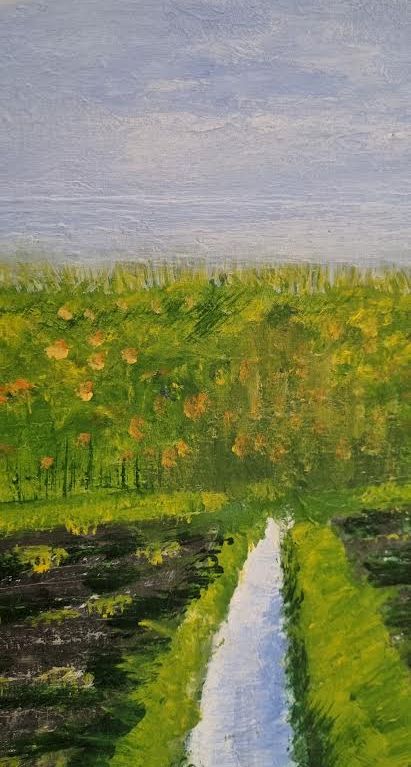 Origineel Schilderij 'Sloot in het Groninger Landschap' (27x70 cm) – Aukje Hut